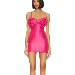 Revolve Tacy Mini Dress in Party Pink